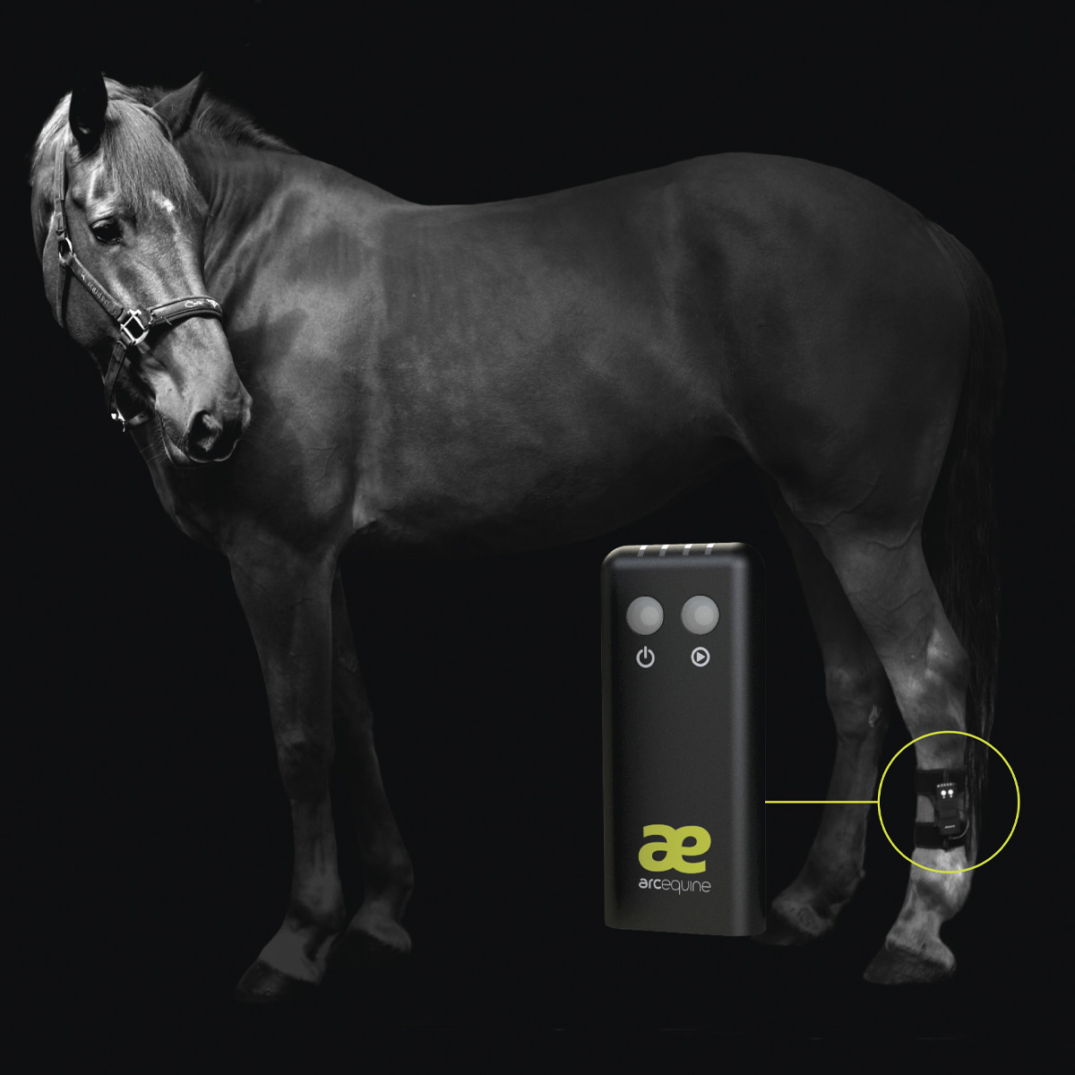 Arc Equine Complete Kit