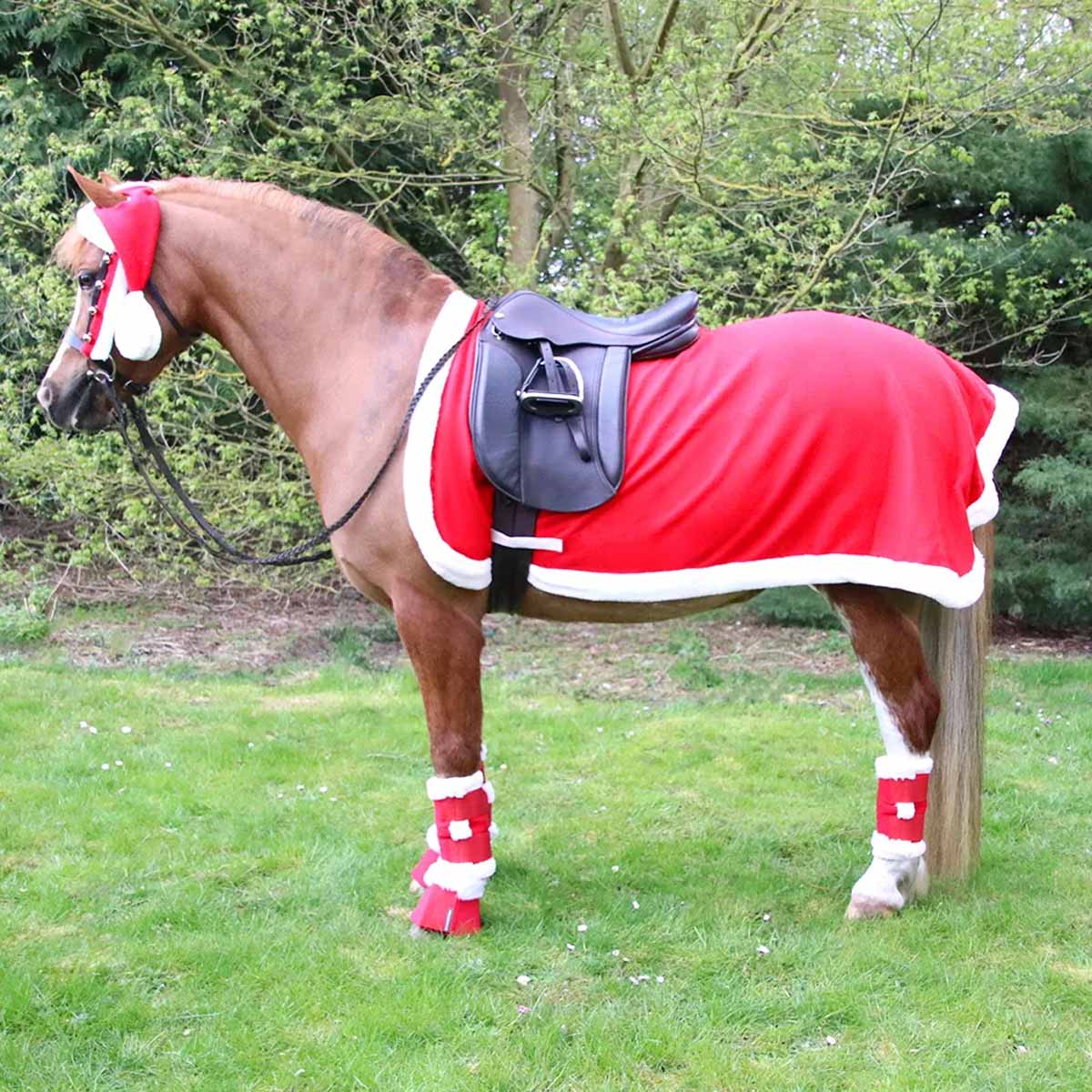 Hy Equestrian Christmas Santa Exercise Sheet Red