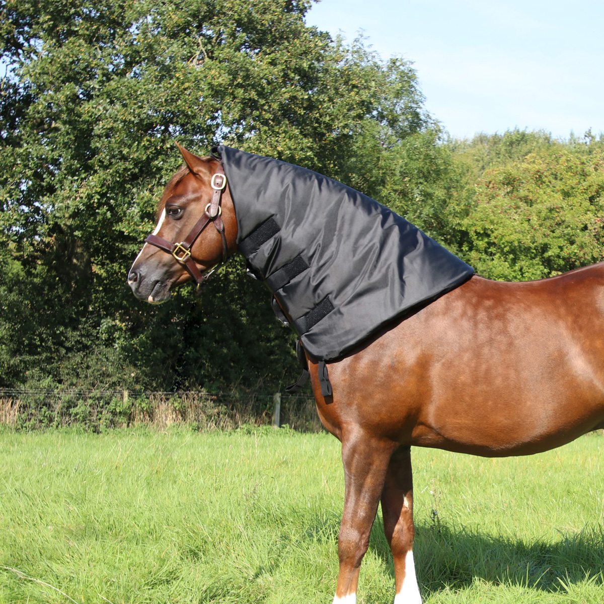Supreme Products Neck Sweat Black