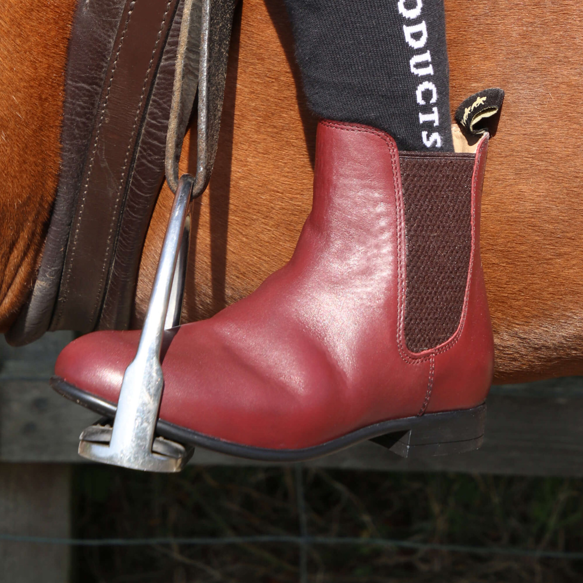 Supreme&#x20;Products&#x20;Show&#x20;Ring&#x20;Jodhpur&#x20;Boots&#x20;-&#x20;Junior&#x20;Oxblood