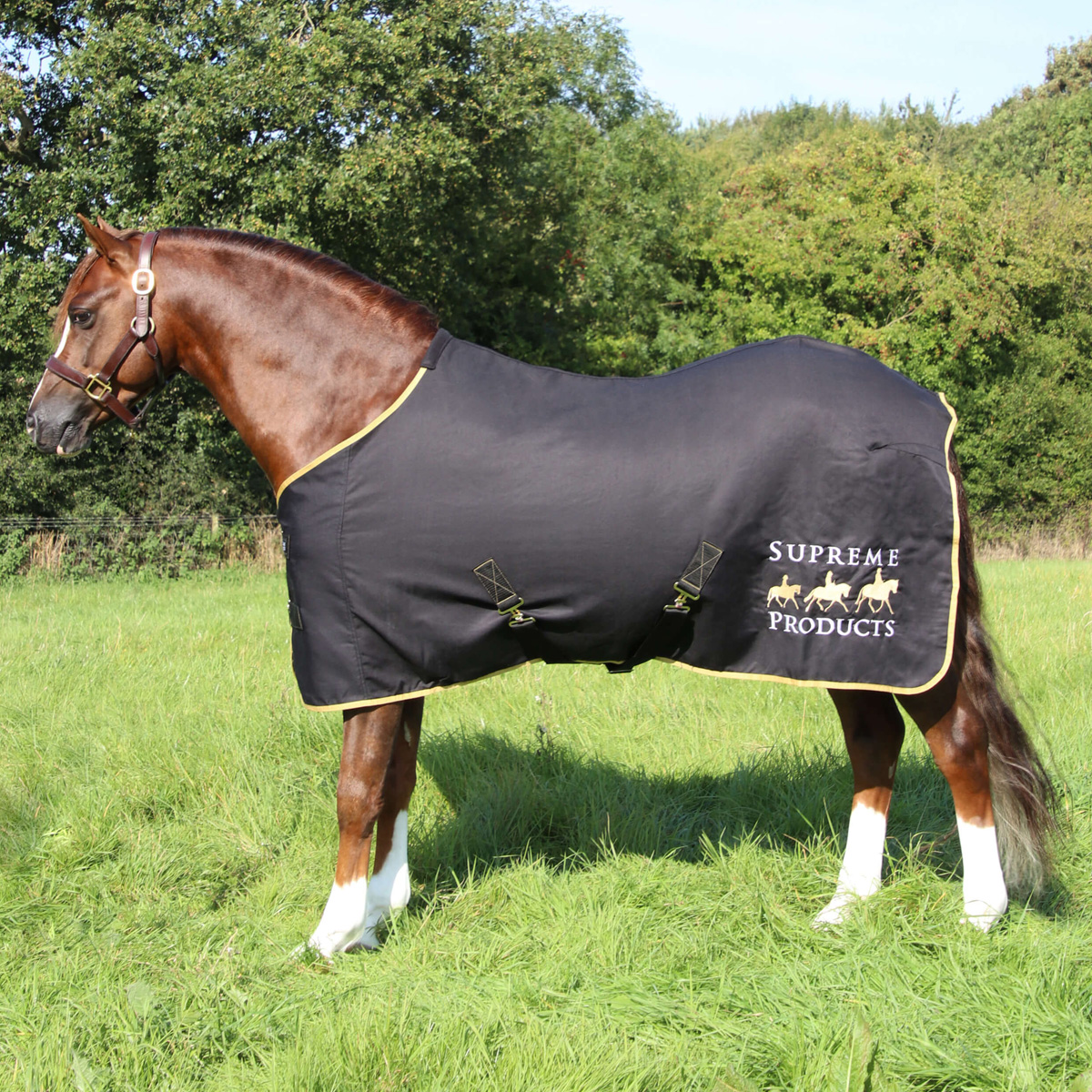 Supreme Products Show Sheet - Black/Gold 