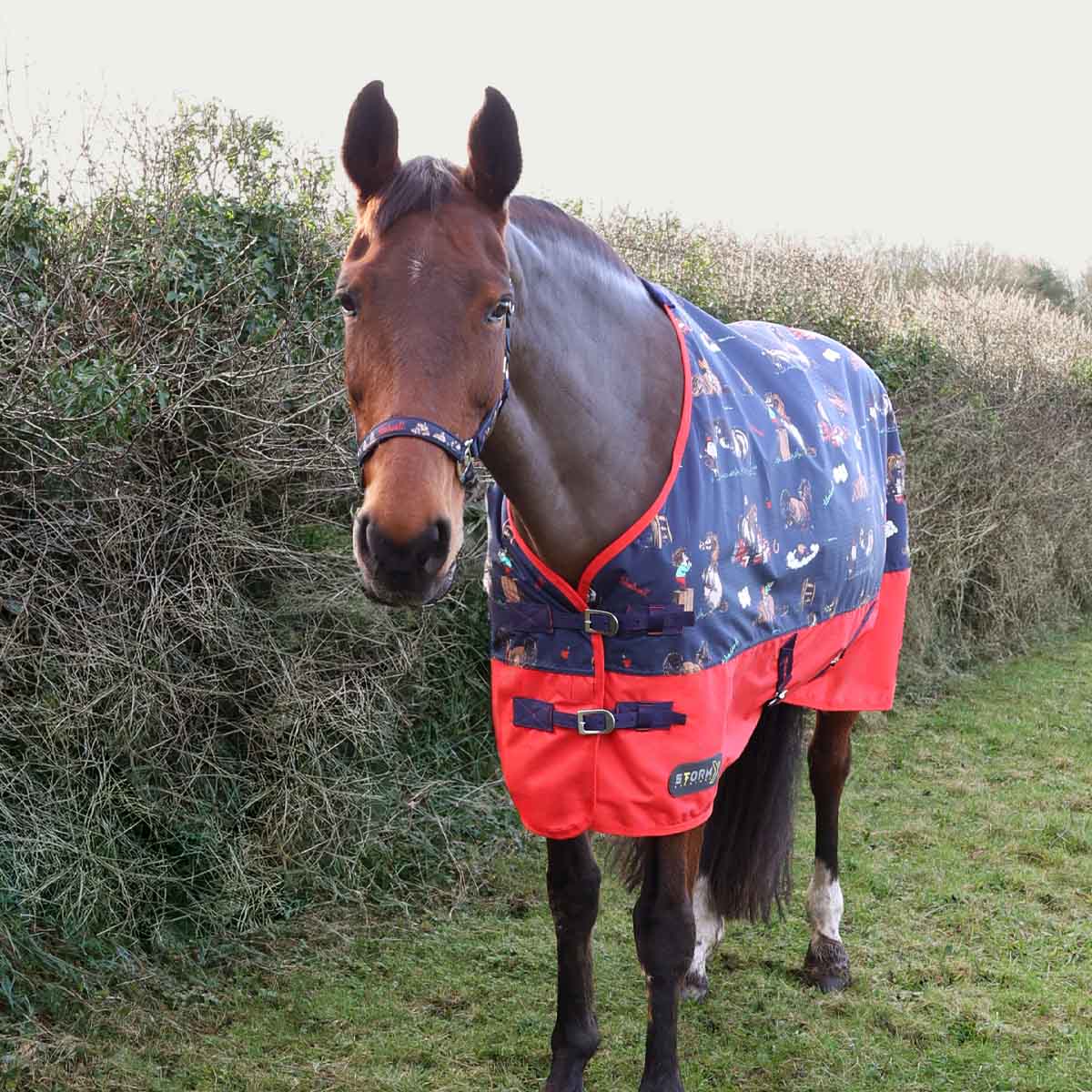 StormX Original 100G Turnout Rug - Thelwell Navy Red