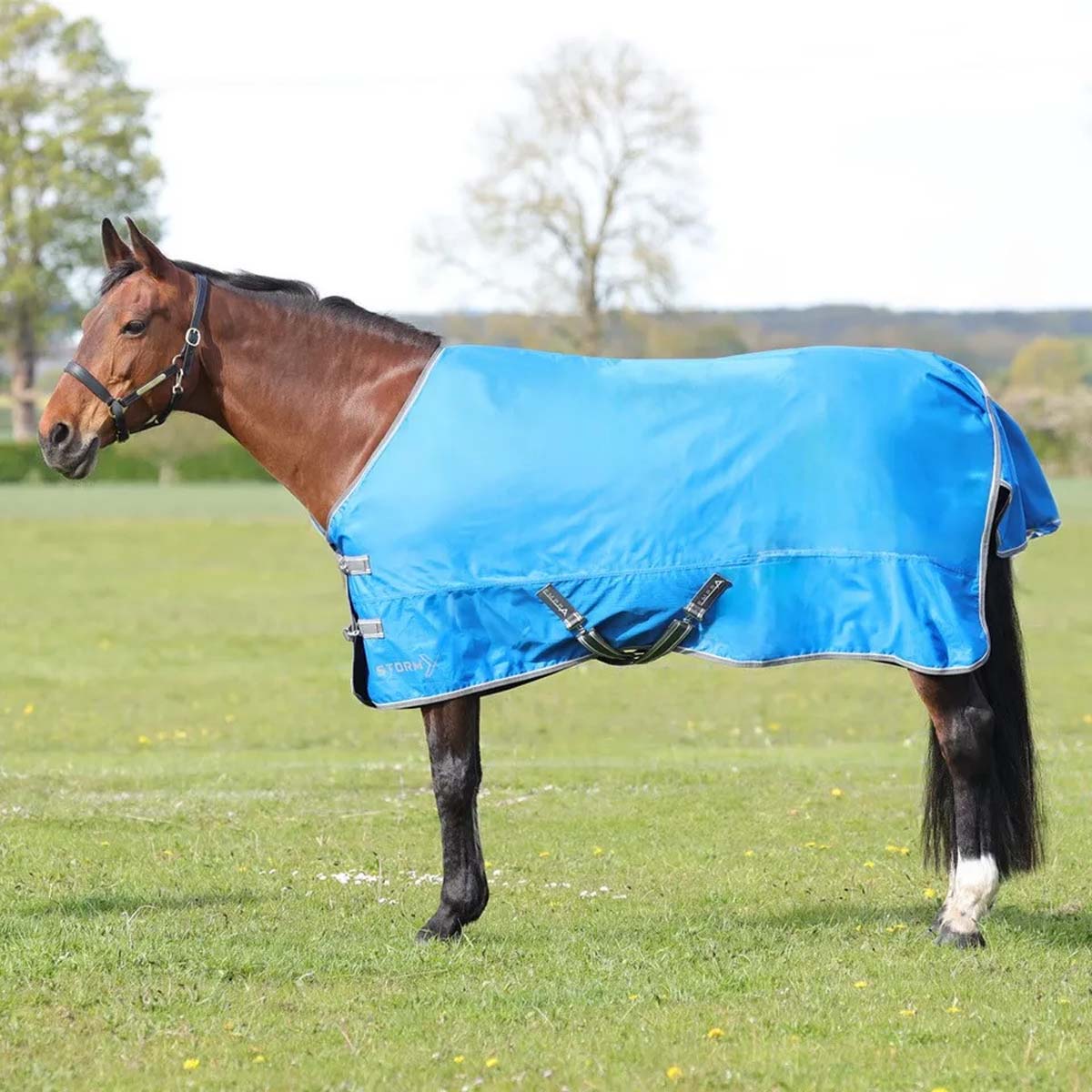 StormX Empra 0g Turnout Rug Blue
