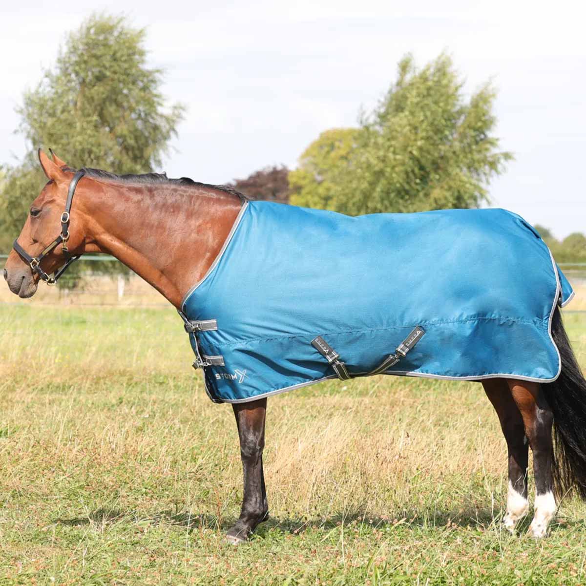 StormX Empra 50g Turnout Rug Blue