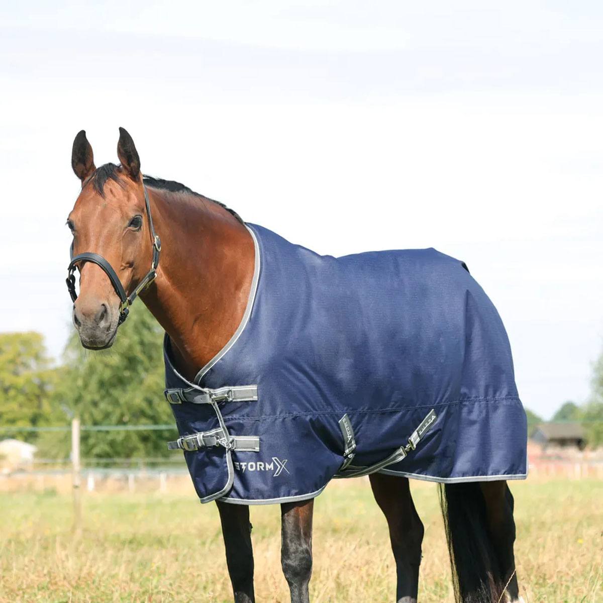 StormX Empra 100g Turnout Rug Navy Blue