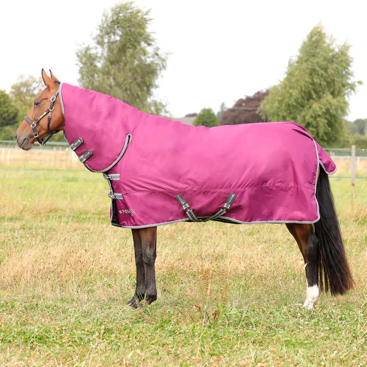 StormX Empra 200g Combi Turnout Rug Purple