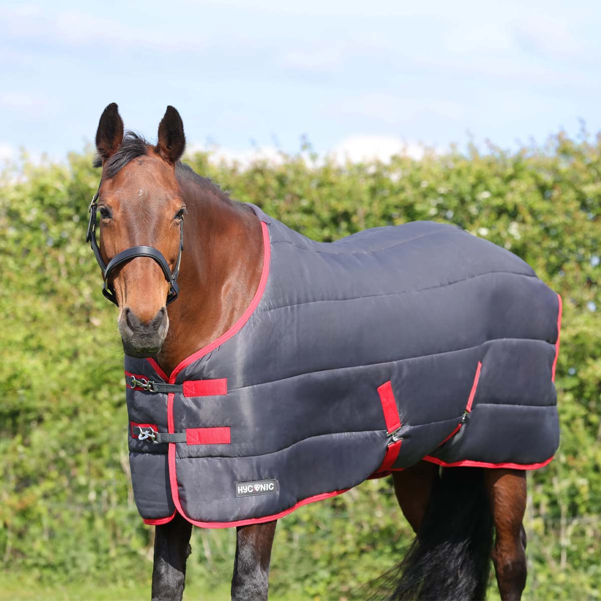 HyCONIC 250g Stable Rug Grey