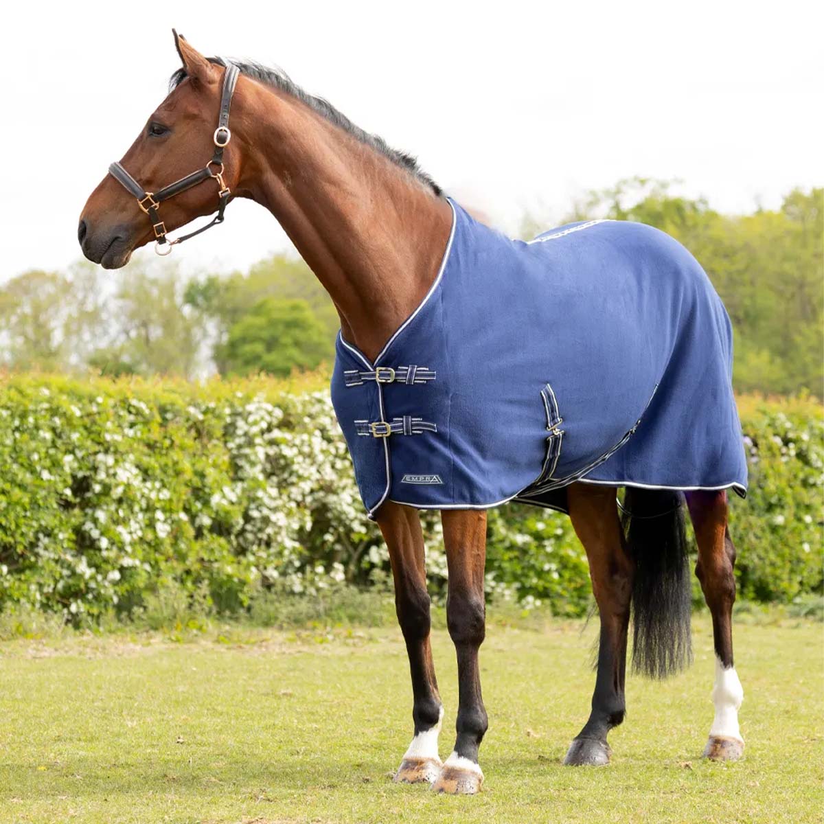 StormX Empra Opulence Fleece Rug Navy Blue