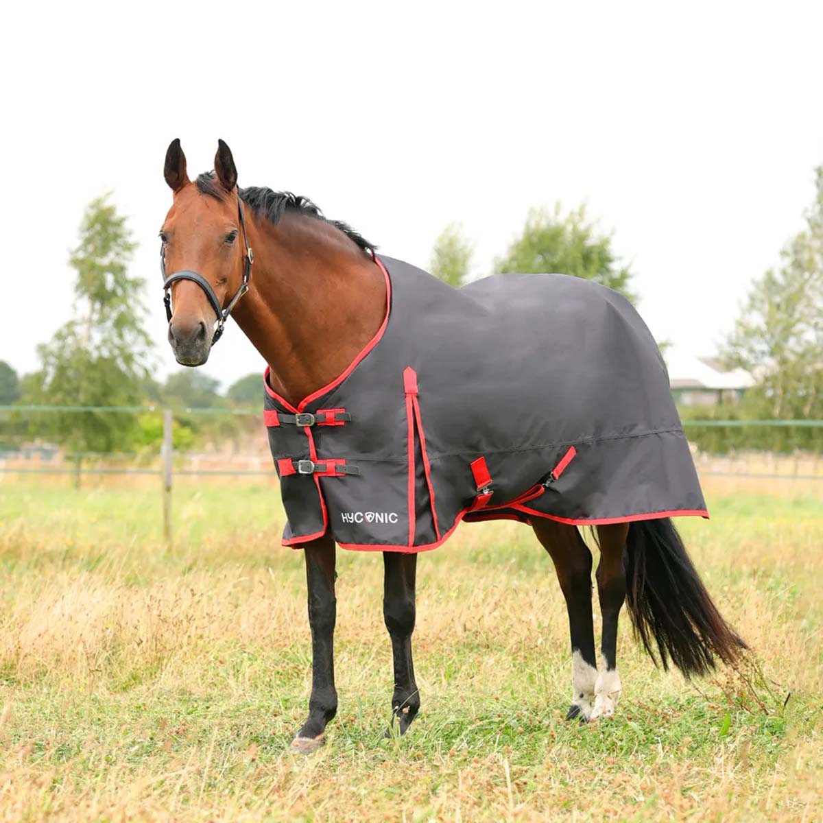HyCONIC 0g Turnout Rug GREY
