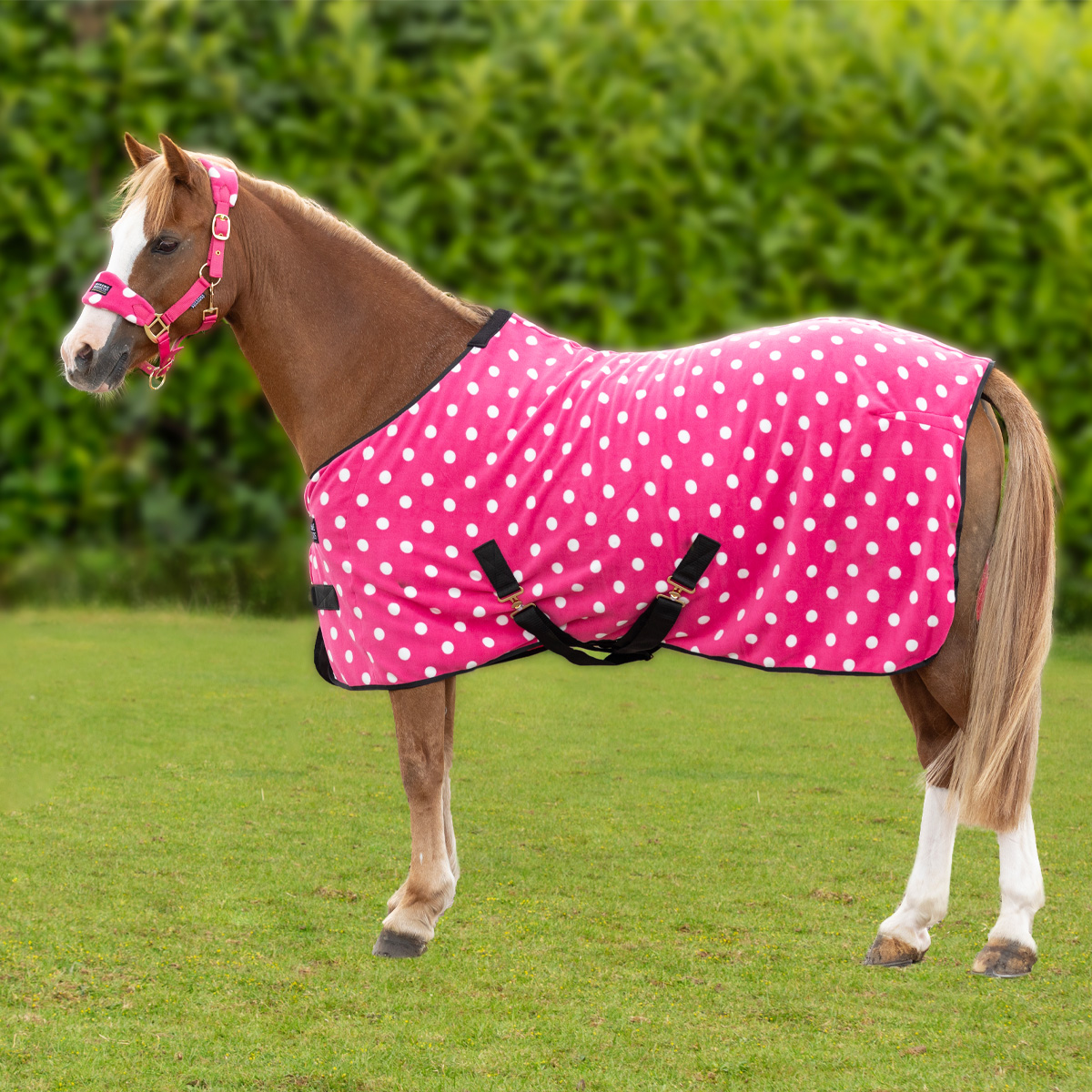 Supreme Products Dotty Fleece Rug - Paradise Pink