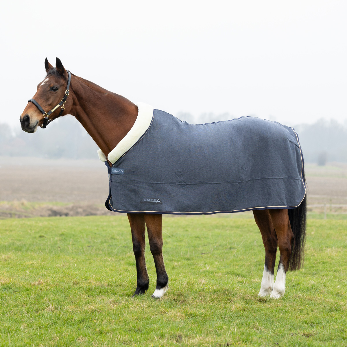 Storm X Empra Cushioned Fleece Rug Grey