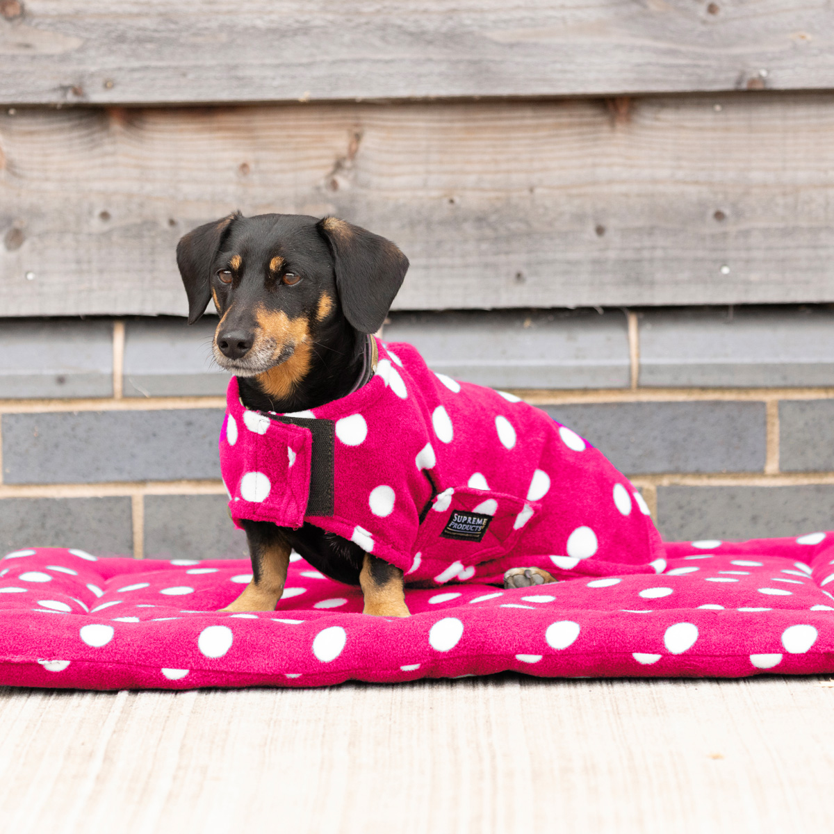 Supreme Products Dotty Fleece Dog Coat - Paradise Pink