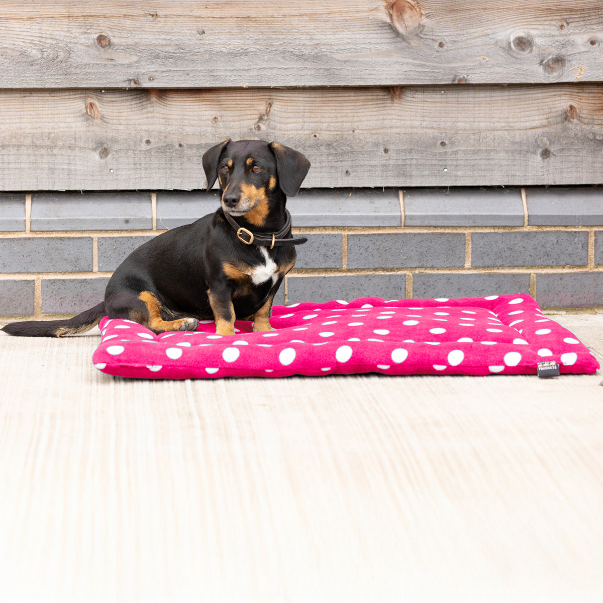 Supreme Products Dotty Fleece Dog Bed - Paradise Pink