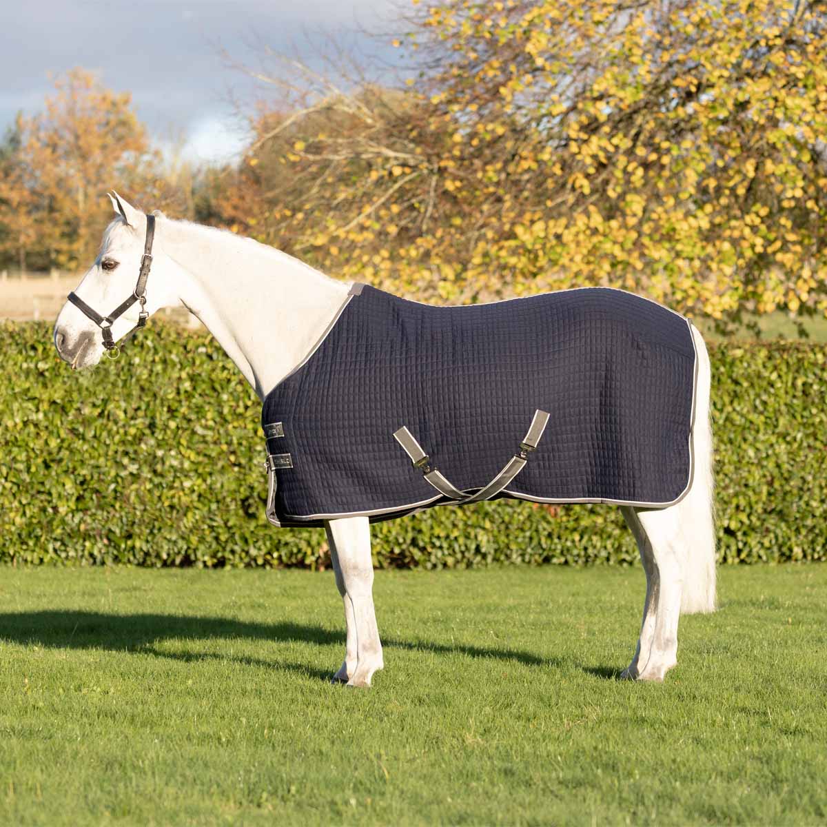 DefenceX Shield Thermal Rug Navy Blue