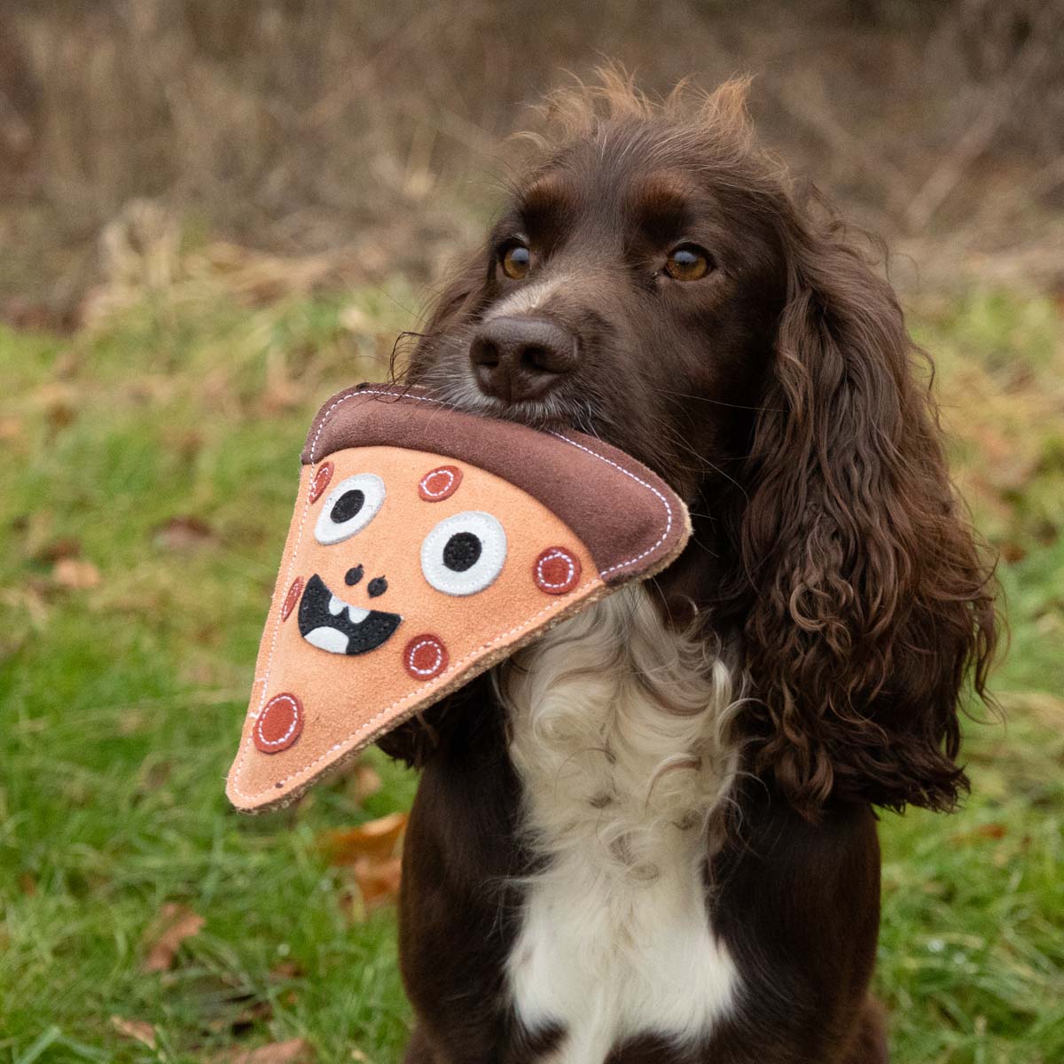 Benji & Flo Crazy Faces Dog Toys - Pawperoni Pizza 