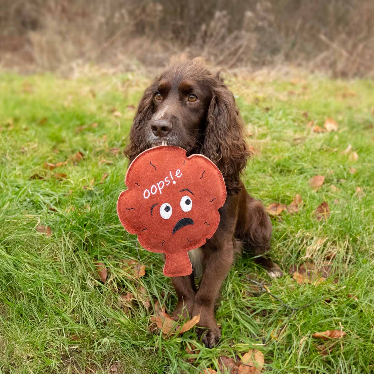 Benji & Flo Crazy Faces Dog Toys - Oopsie Whoopsie 