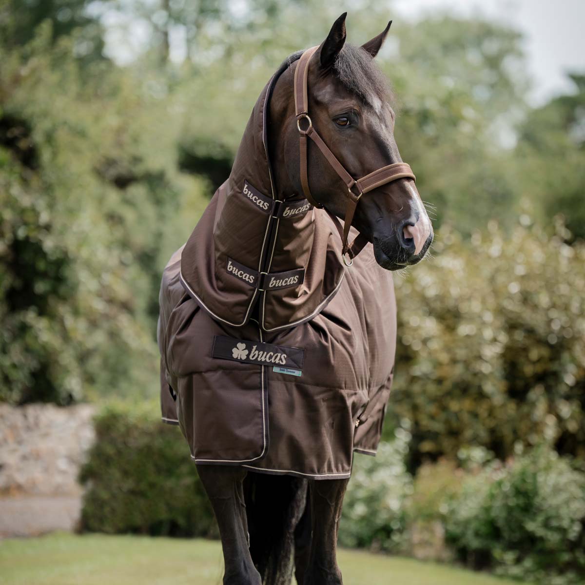 Bucas Irish Turnout 300 & Neck Cover Brown