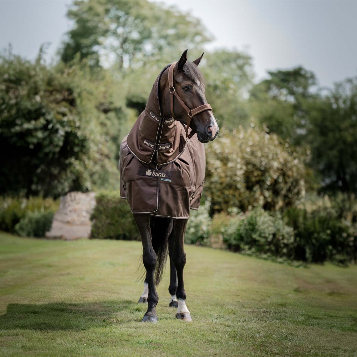 Bucas Irish Turnout 150 & Neck Cover Brown