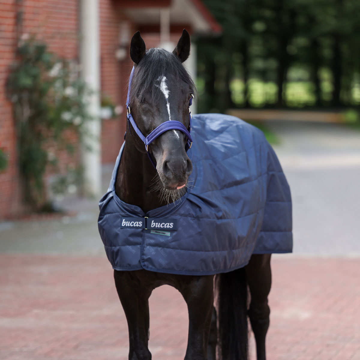 Bucas Rug Liner 300g Navy Blue