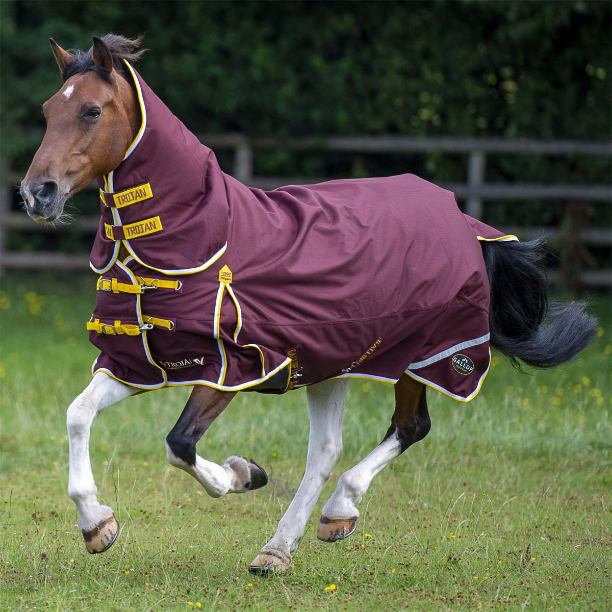 TROJAN Xtra 200 Duraproof Combo Turnout Burgundy