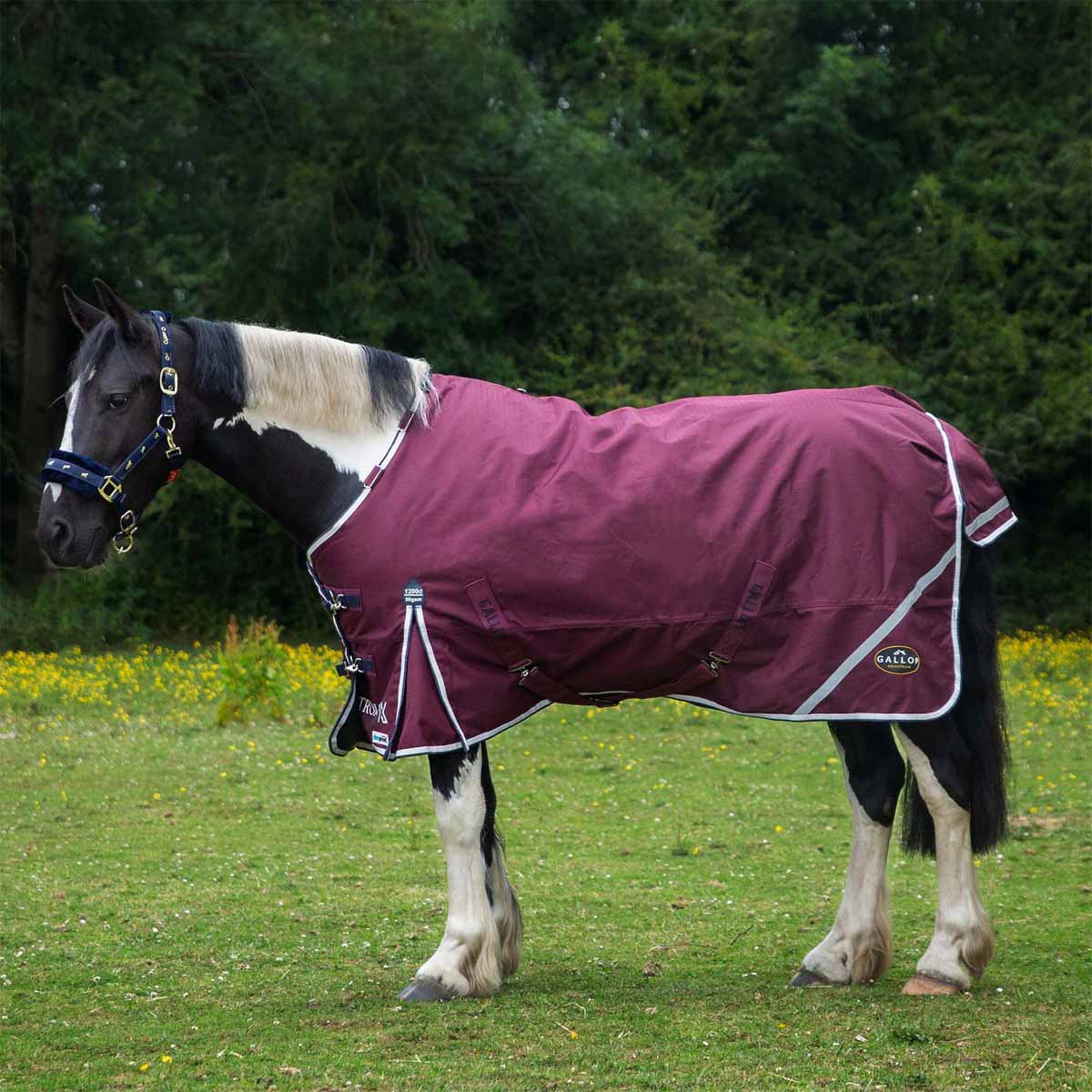 Gallop TROJAN Xtra 50 Duraproof Standard Neck Turnout Burgundy