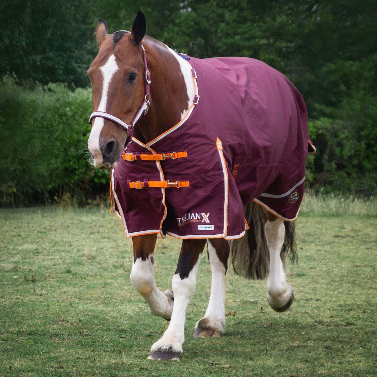 TROJAN Xtra 100 Duraproof Standard Neck Turnout Burgundy