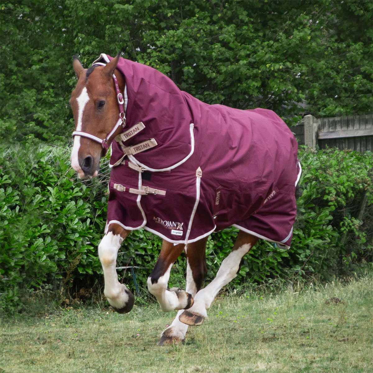 TROJAN Xtra 100 Duraproof Combo Turnout Burgundy