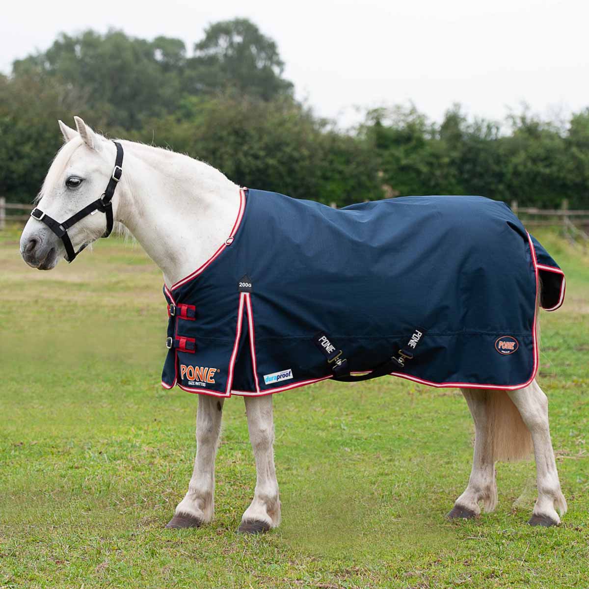 Gallop PONIE 200 Duraproof Standard Neck Turnout Rug Navy Blue