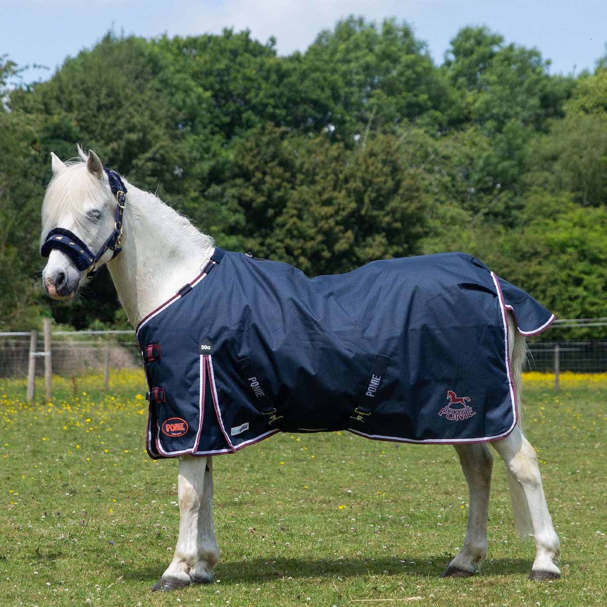 Gallop PONIE 50 Duraproof Standard Neck Turnout Rug Navy Blue