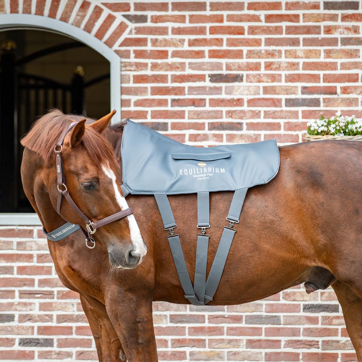 Equilibrium Massage Pad XL