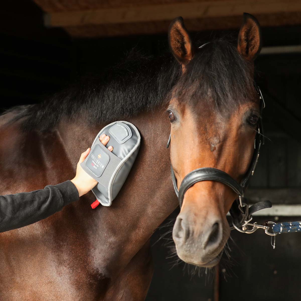 Equilibrium Hot Spot Massage Mitt