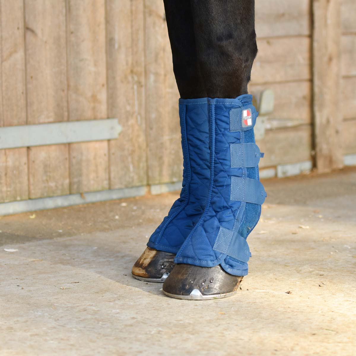 Equilibrium Equi-Chaps Stable Chaps Blue