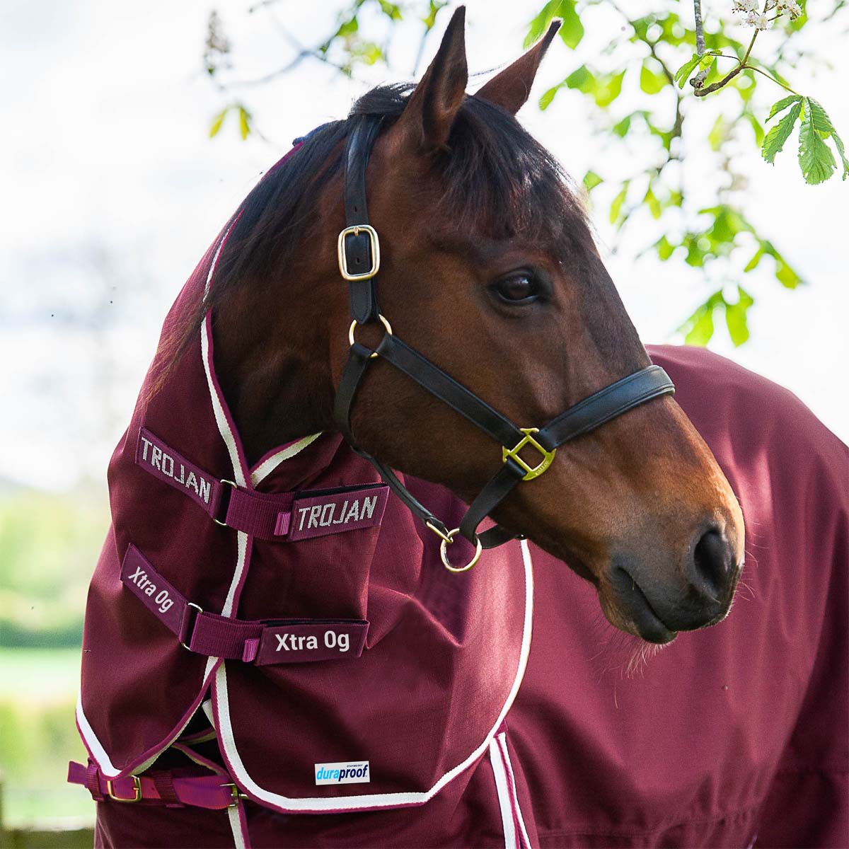 Gallop TROJAN Xtra Duraproof Neck Cover 1200D 0g Burgundy