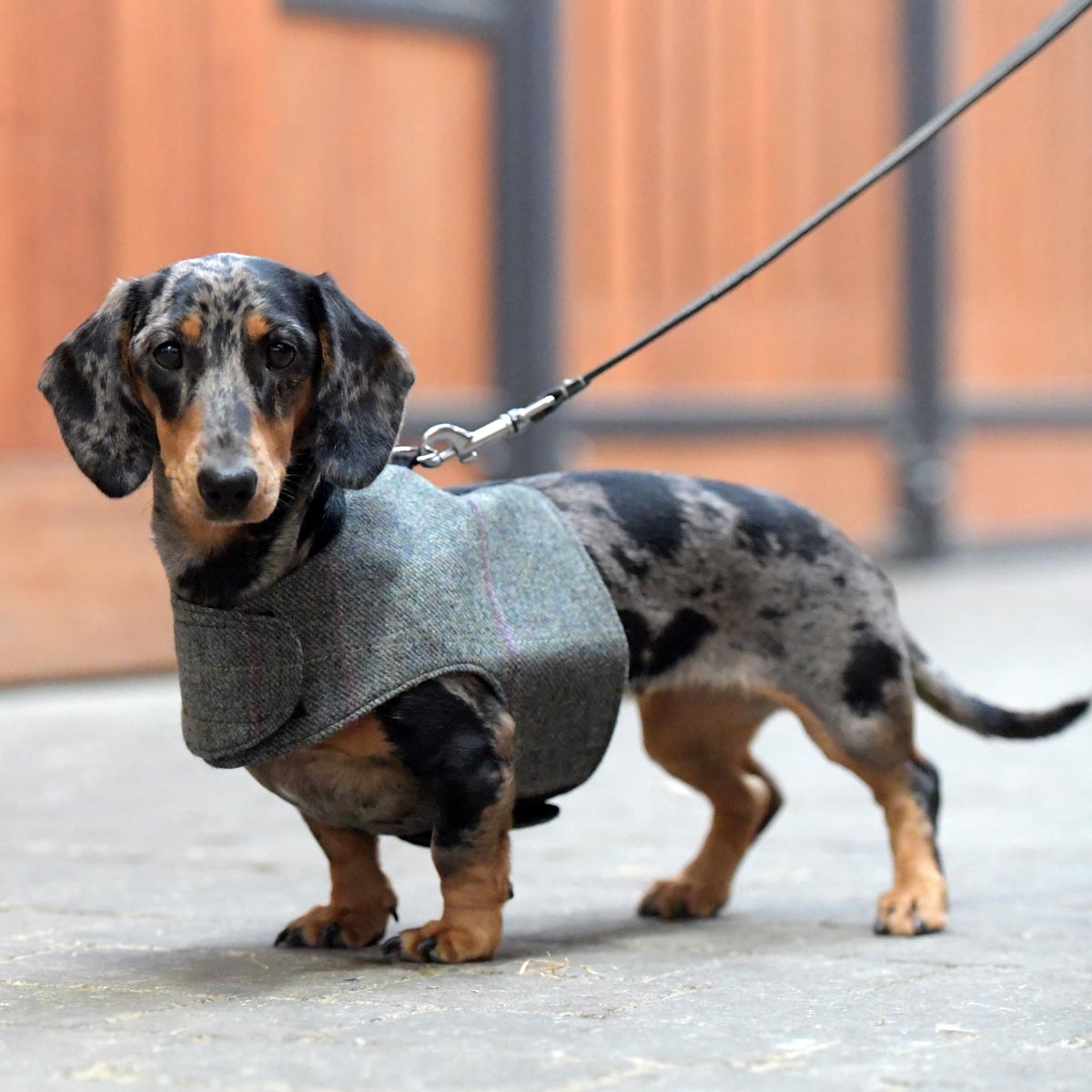 Woofmasta Luxury Dog Harness Large Green Tweed