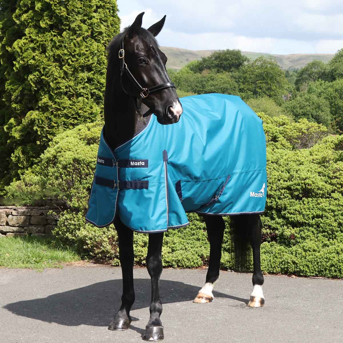 Ventomasta 100g Lightweight Standard Neck Turnout Rug Petrol Blue