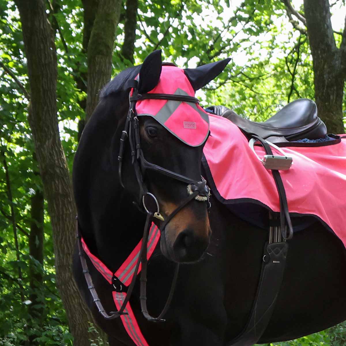 Masta&#x20;Hi&#x20;Viz&#x20;Fly&#x20;Veil&#x20;Pink