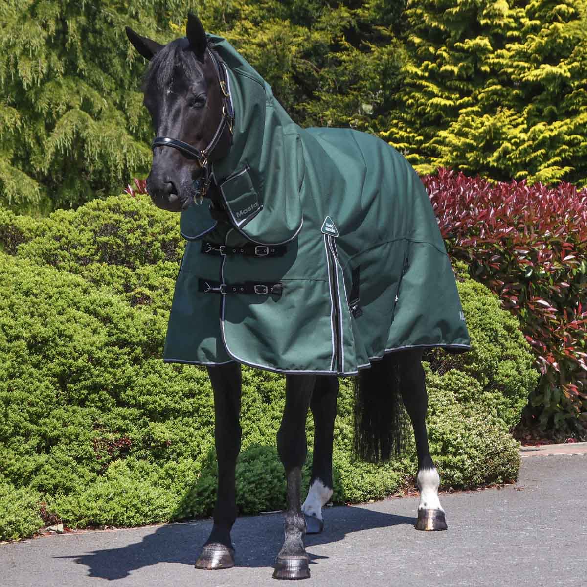 Fieldmasta 220g Mediumweight Combo Neck Turnout Rug Forest Green