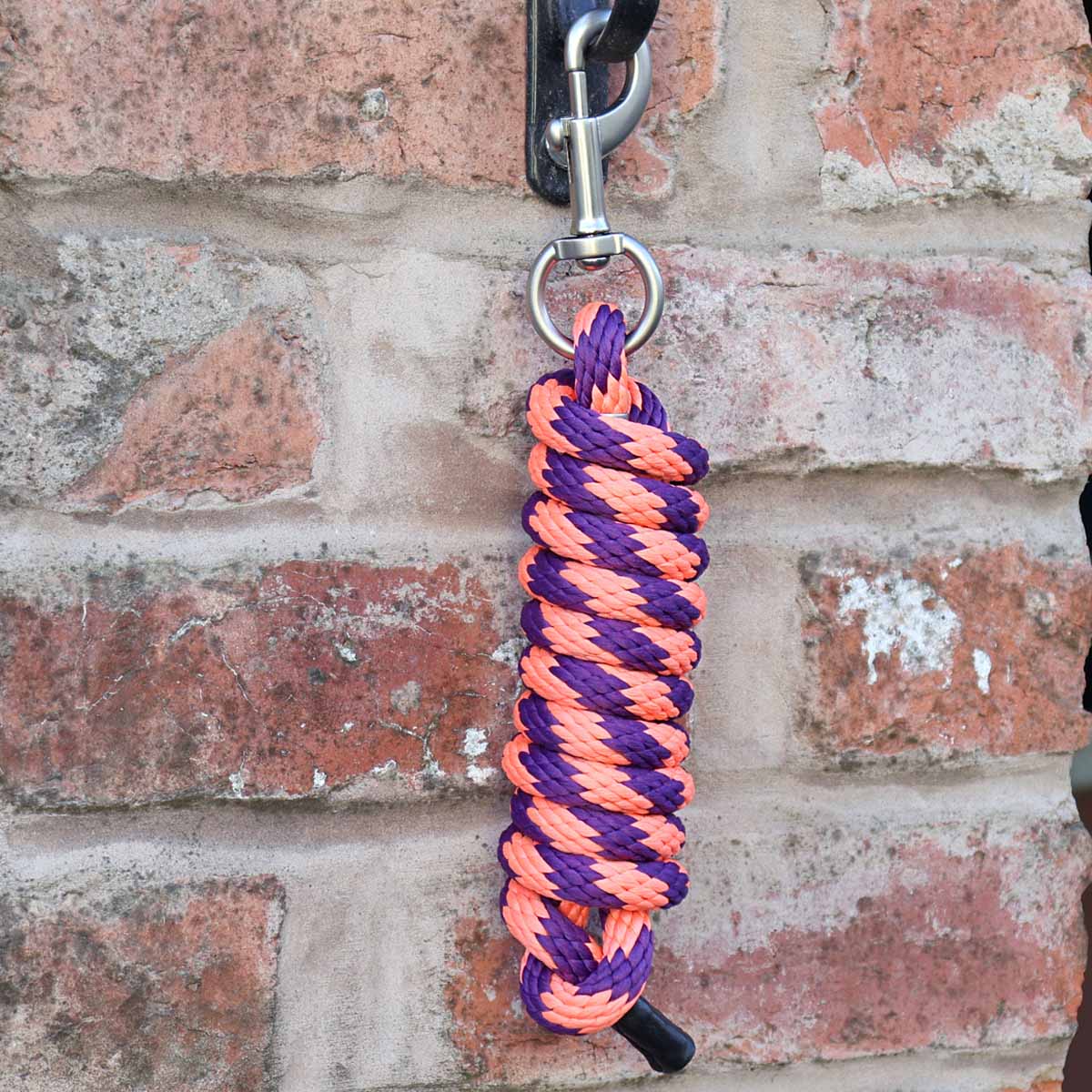 Cottage Craft Twin Coloured Lead Rope Purple