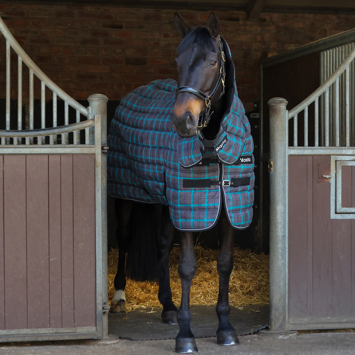 Snugmasta 250g Mediumweight Combo Neck Stable Rug Dark Grey