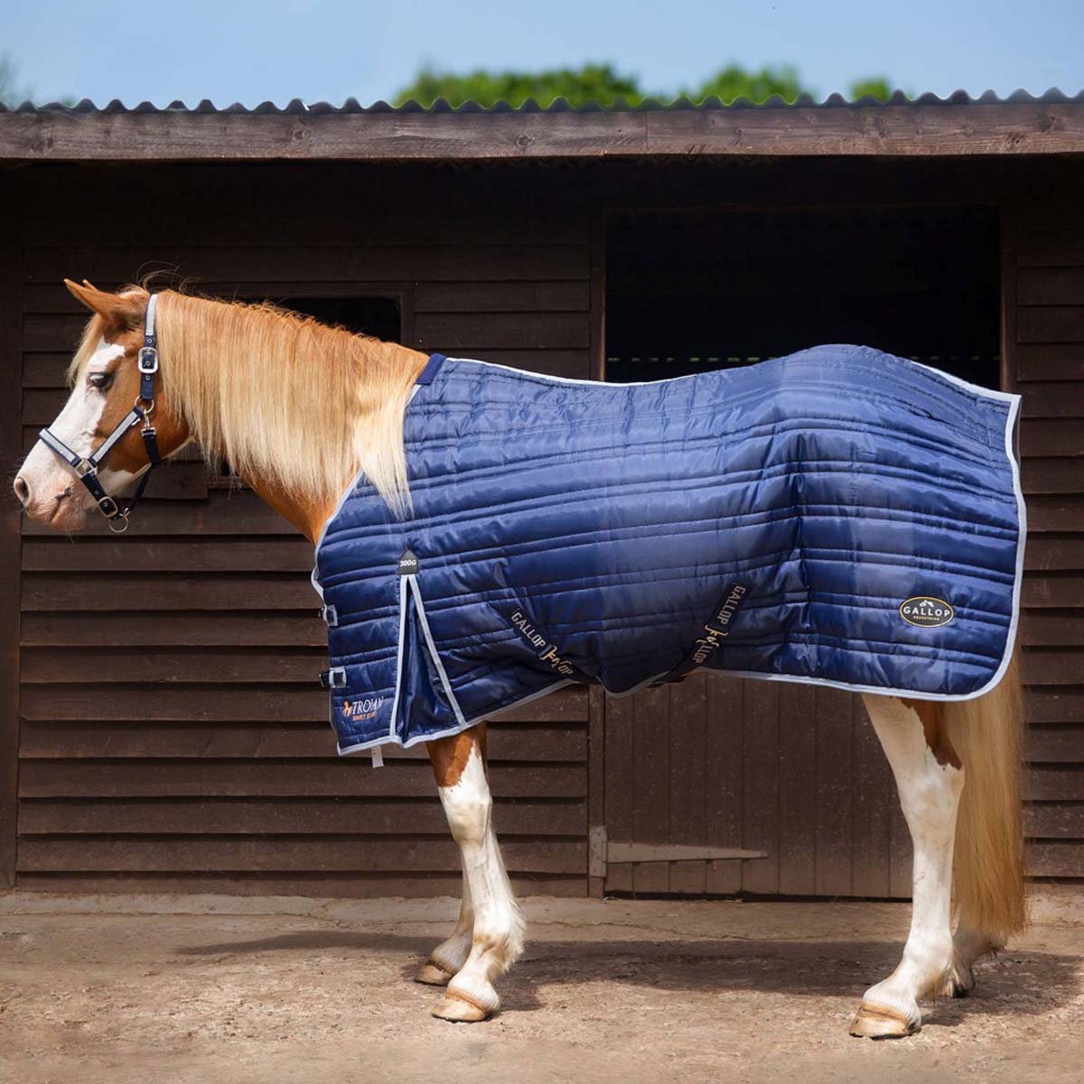 Gallop Trojan 300g Standard Neck Stable Rug Navy Blue