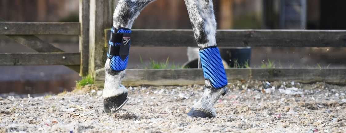 Understanding which breathable boots are best for your horse