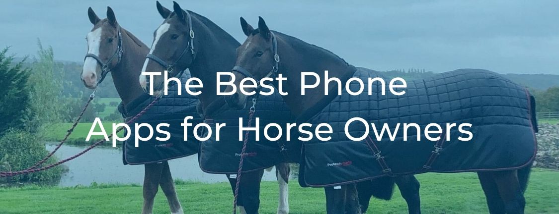 The Best Apps for Horse Owners