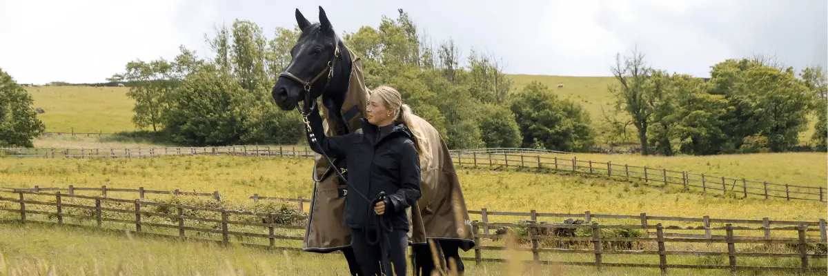 Over rugging: A Horse Rugging Guide