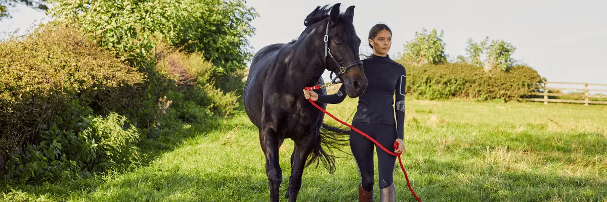 Kissing Spines - The Rehab Process