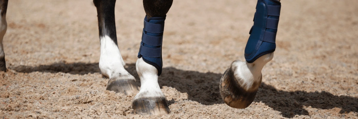 Understanding which breathable boots are best for your horse