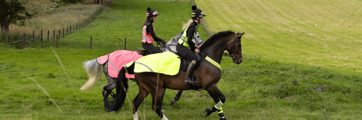 Is hacking good for horses 