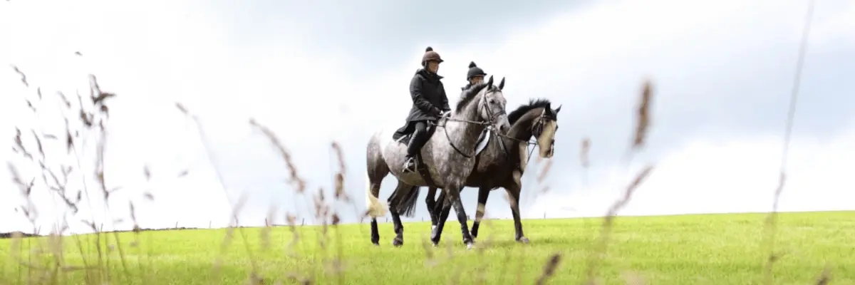 Should I horse ride when pregnent