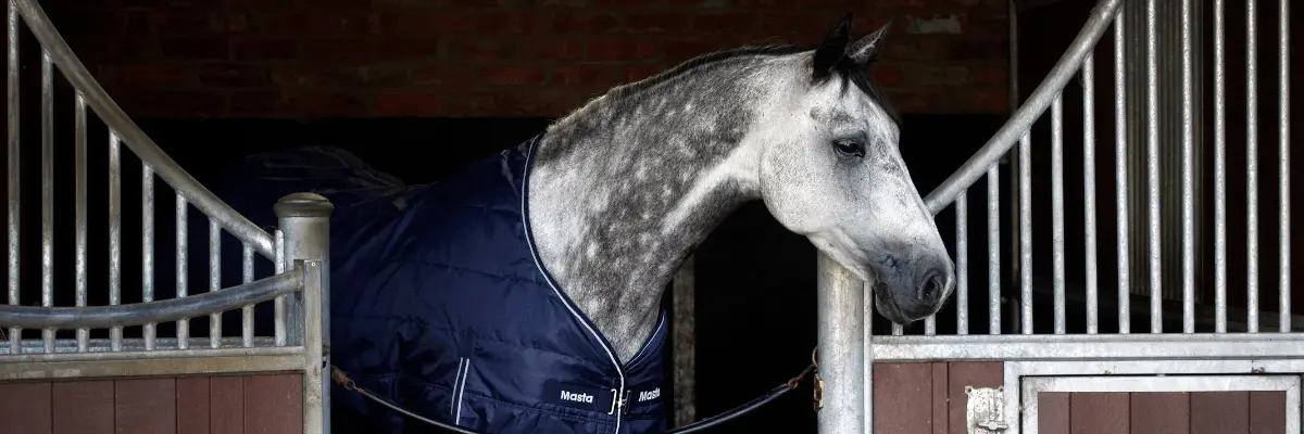 An Introduction to ArcEquine