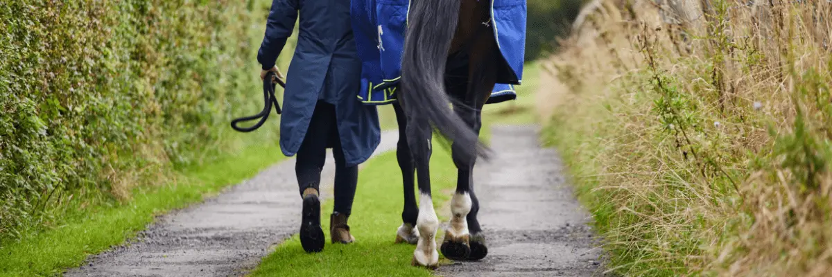 Is Hard Ground Bad for Horses?