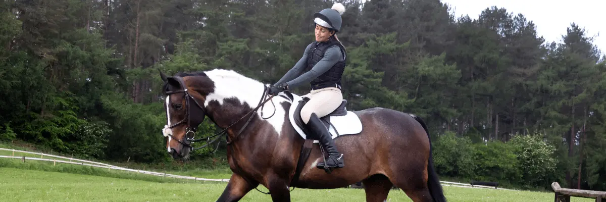 How to deal with a spooky horse